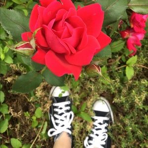 Meet your Posher, Rylee